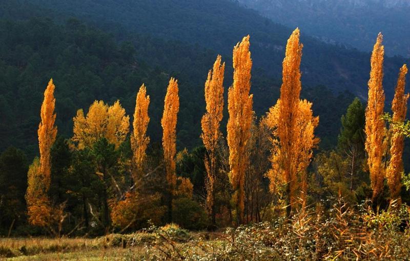 Riópar Casa Rural Nacimiento Rio Mundo מראה חיצוני תמונה